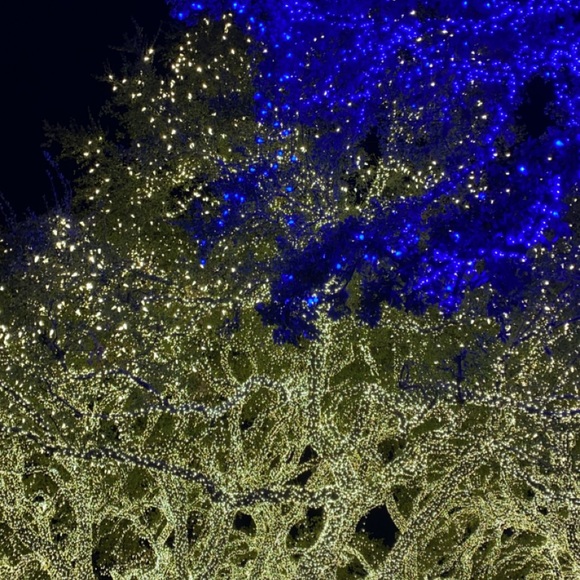 Meet your Posher, Parker - Picture 1 of 1